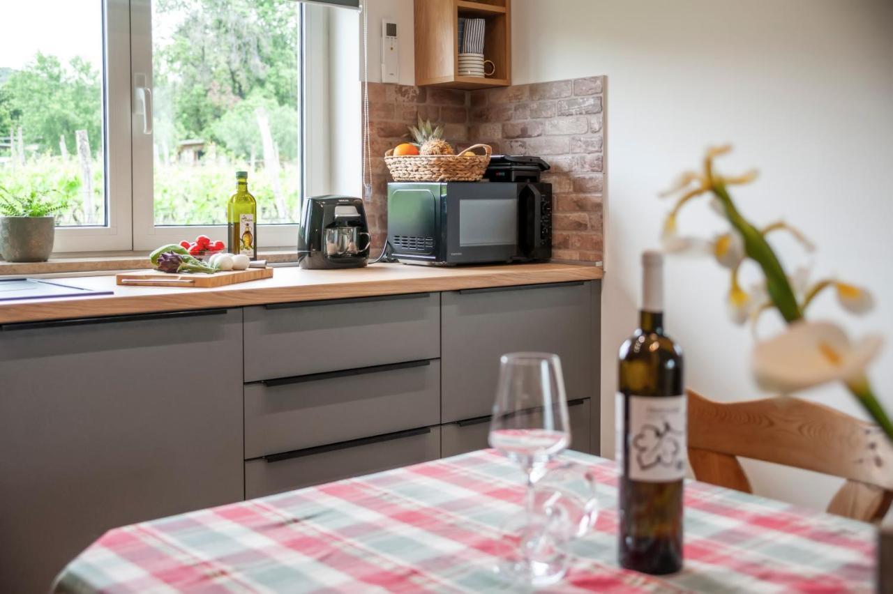 Villa Kuca Za Odmor Toncas à Rovinj Extérieur photo